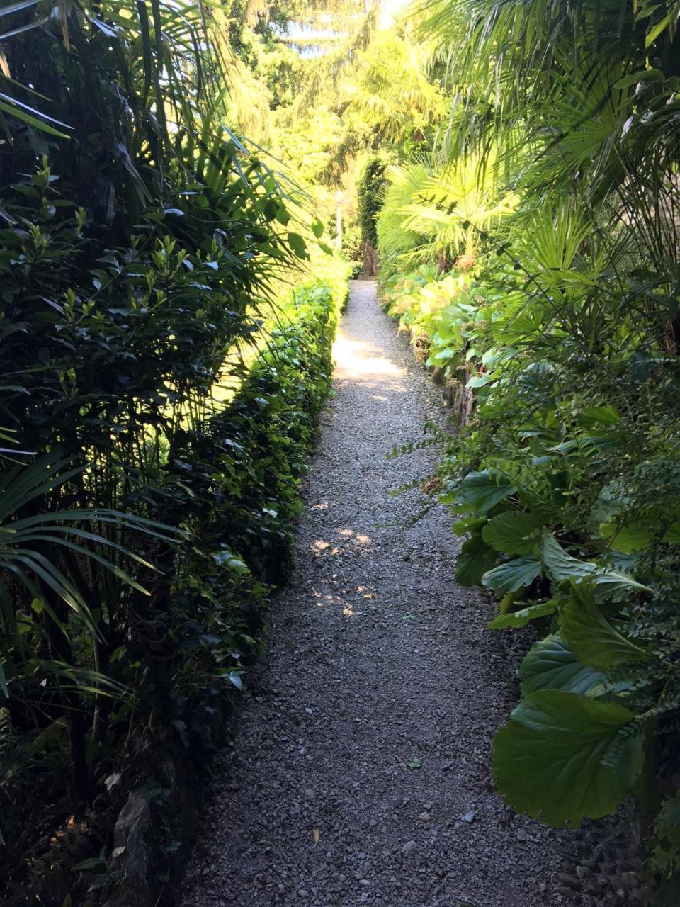 B&B Villa Costanza 布里维奥 外观 照片